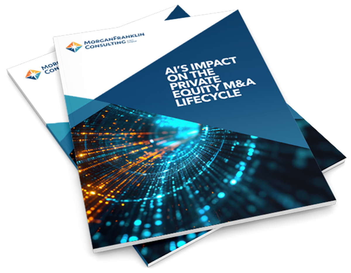 HS_AI_PE_Whitepaper_FINAL